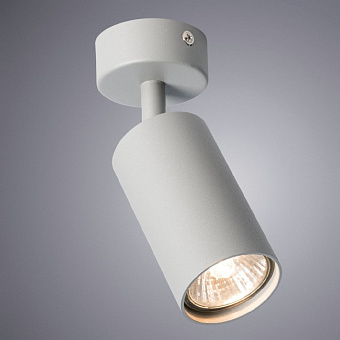 Светильник потолочный Arte Lamp AQUARIUS A3216PL-1GY 35Вт GU10