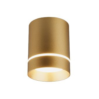 Светильник точечный накладной Elektrostandard Topper a049492 DLR021 8Вт LED