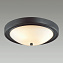 Светильник настенно-потолочный Lumion NINA 5260/3C 180Вт E27
