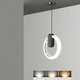 Светильник подвесной ImperiumLOFT Gina 213672-23 10Вт LED