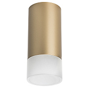 Светильник настенно-потолочный Lightstar Rullo R44031 50Вт GU10