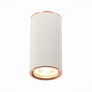 Светильник точечный накладной ST Luce CHOMUS ST111.527.01 50Вт GU10