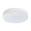 Светодиодная лампа Lightstar 943082 GX 5.3 8Вт 3000К