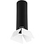 Светильник настенно-потолочный Lightstar Rullo R497436 50Вт GU10