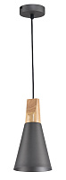 Светильник подвесной Maytoni Bicones P359-PL-140-C 60Вт E27