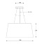 Светильник подвесной Maytoni Calvin Ceiling P179-PL-01-W 60Вт E27