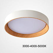 Светильник потолочный ImperiumLOFT Wenny 223985-23 46Вт LED