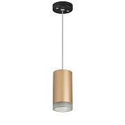 Светильник настенно-потолочный Lightstar Rullo RP44030 50Вт GU10