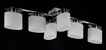 Светильник потолочный Freya Bice FR5101-CL-06-CN 40Вт E14