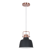 Светильник подвесной Odeon PENDANT 3325/1 60Вт E27