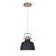 Светильник подвесной Odeon PENDANT 3325/1 60Вт E27