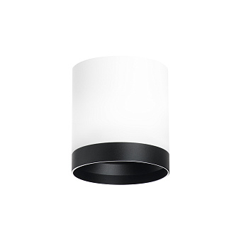 Светильник настенно-потолочный Lightstar Rullo R34863487 15Вт GX 5.3
