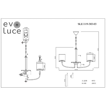 Светильник подвесной Evoluce ELLISSE SLE1119-303-03 120Вт E14