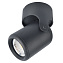 Светильник потолочный Arte Lamp LIBRA A3316PL-1BK 50Вт GU10