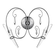 Бра Lightstar Scarabeo 755624 70Вт G4