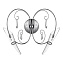 Бра Lightstar Scarabeo 755624 70Вт G4