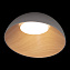 Светильник потолочный Loft It Egg 10197/500 Grey 36Вт LED