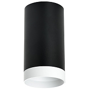 Светильник настенно-потолочный Lightstar Rullo R4373436 50Вт GU10