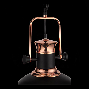 Светильник подвесной ST Luce LANTERIO SL404.403.01 60Вт E27