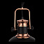 Светильник подвесной ST Luce LANTERIO SL404.403.01 60Вт E27