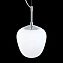 Светильник подвесной ST Luce CESARE SL1168.103.01 40Вт E27
