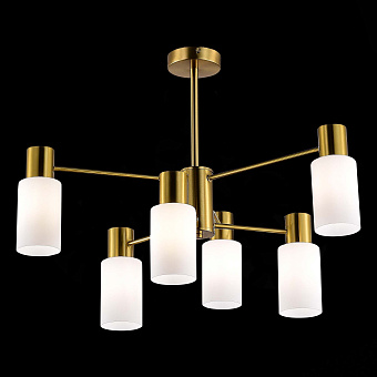 Светильник потолочный Evoluce GESSI SLE1139-302-06 360Вт E14