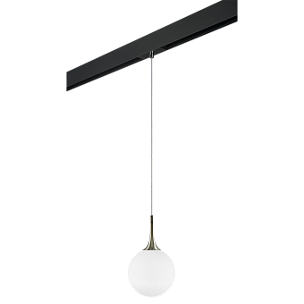 Трековый светильник Lightstar Globo PRO813021 40Вт E14 белый для однофазного трека