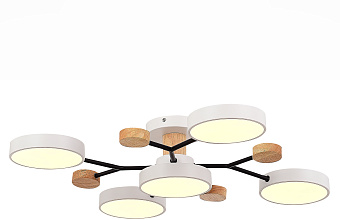 Светильник потолочный Evoluce FAEMA SLE6006-502-05 60Вт LED