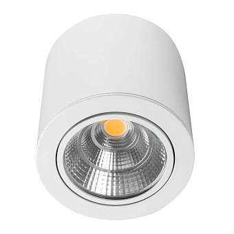 Светильник точечный накладной Arlight SP-Focus 021066 30Вт LED