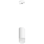 Светильник настенно-потолочный Lightstar Rullo RP43631 50Вт GU10