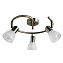 Спот Arte Lamp PARRY A5062PL-3AB 40Вт 3 лампы E14