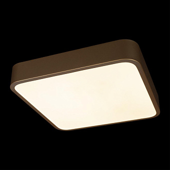Светильник потолочный Loft It Flims 10228/C 24Вт LED