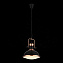 Светильник подвесной ST Luce LANTERIO SL404.403.01 60Вт E27