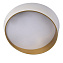 Светильник потолочный Loft It Coin 10199 White 36Вт LED