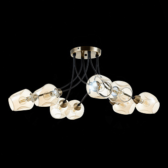 Светильник потолочный Evoluce BESANO SLE205302-08 320Вт E14