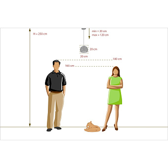 Светильник подвесной De Markt Бриз 111011701 60Вт E27