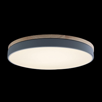 Светильник потолочный Loft It Axel 10001/36 Grey 36Вт LED
