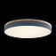 Светильник потолочный Loft It Axel 10001/36 Grey 36Вт LED