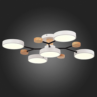 Светильник потолочный Evoluce FAEMA SLE6006-502-05 60Вт LED