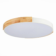 Светильник потолочный Evoluce DELIA SLE201352-01 40Вт LED