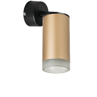 Светильник настенно-потолочный Lightstar Rullo RB44030 50Вт GU10