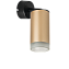 Светильник настенно-потолочный Lightstar Rullo RB44030 50Вт GU10
