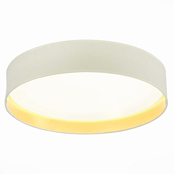 Торшер Evoluce BRESCIA SLE300552-01 50Вт LED