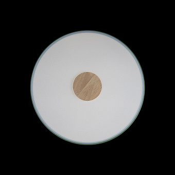 Светильник потолочный Loft It Axel 10003/24 Green 24Вт LED