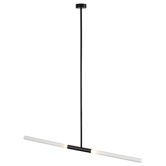 Светильник потолочный Odeon HIGHTECH 4307/2 80Вт G9