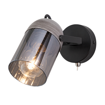 Светильник настенный Eurosvet MARS 20122/1 черный/тертый серый 40Вт E27