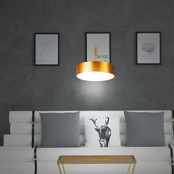 Трековый светильник Novotech PORT 358772 30Вт LED матовое золото для трёхфазного трека