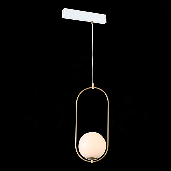 Трековый светильник ST Luce SKYLINE 220 ST500.203.01 40Вт E27 белый для однофазного трека