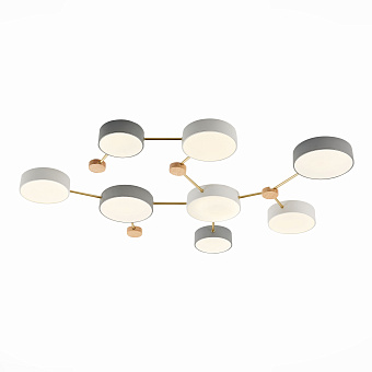 Светильник потолочный Evoluce DOSSENA SLE600102-08 132Вт LED