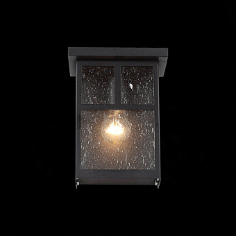 Светильник фасадный ST Luce GLAZGO SL079.401.01 60Вт IP20 E27 тёмный кофе